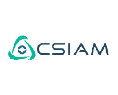 CSI Logo