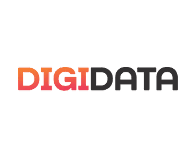 DigiData Logo